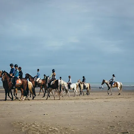In Koksijde With Stunning Sea Views
